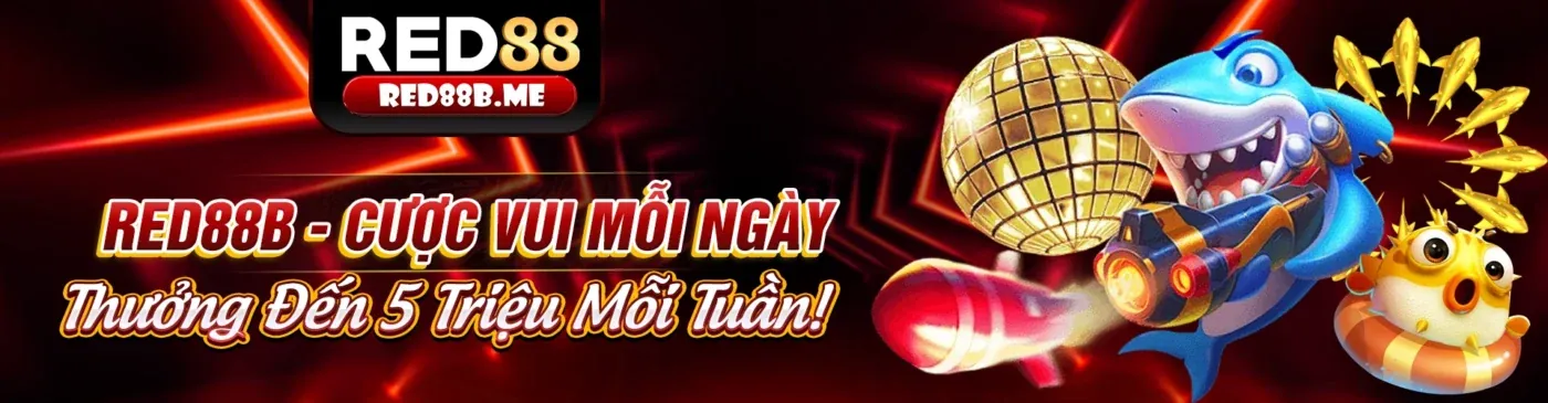 Cá cược trực tuyến Việt Nam - Hướng dẫn cho người mới